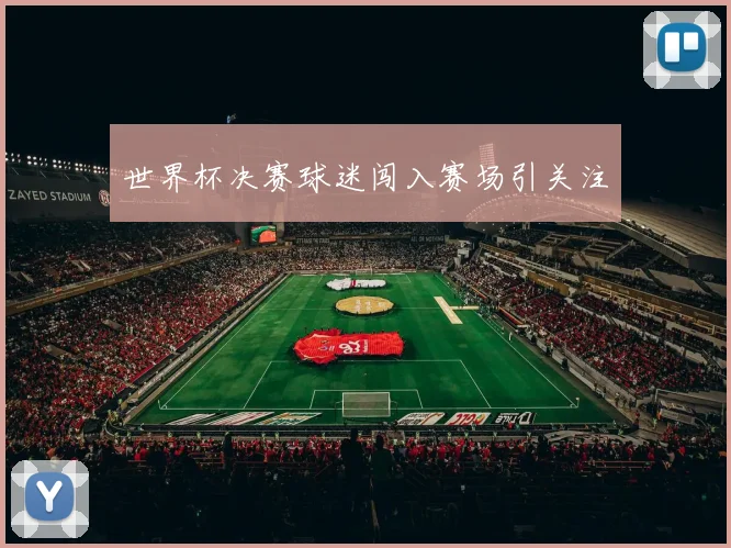 世界杯决赛球迷闯入赛场引关注